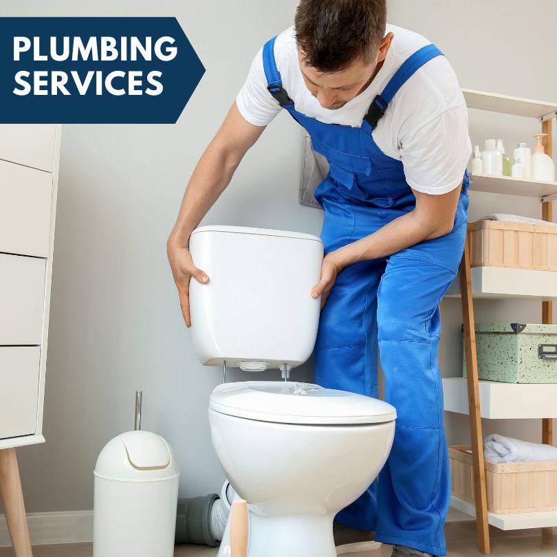 Plumbing Company in Mango, FL